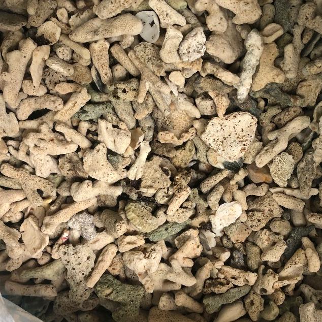 5kg San Hô Vụn 5Kg – Trang Trí Hồ Cá, Lọc Nước, Tăng pH, Dưỡng Nước Cho Bể Cá Cảnh & Thủy Sinh