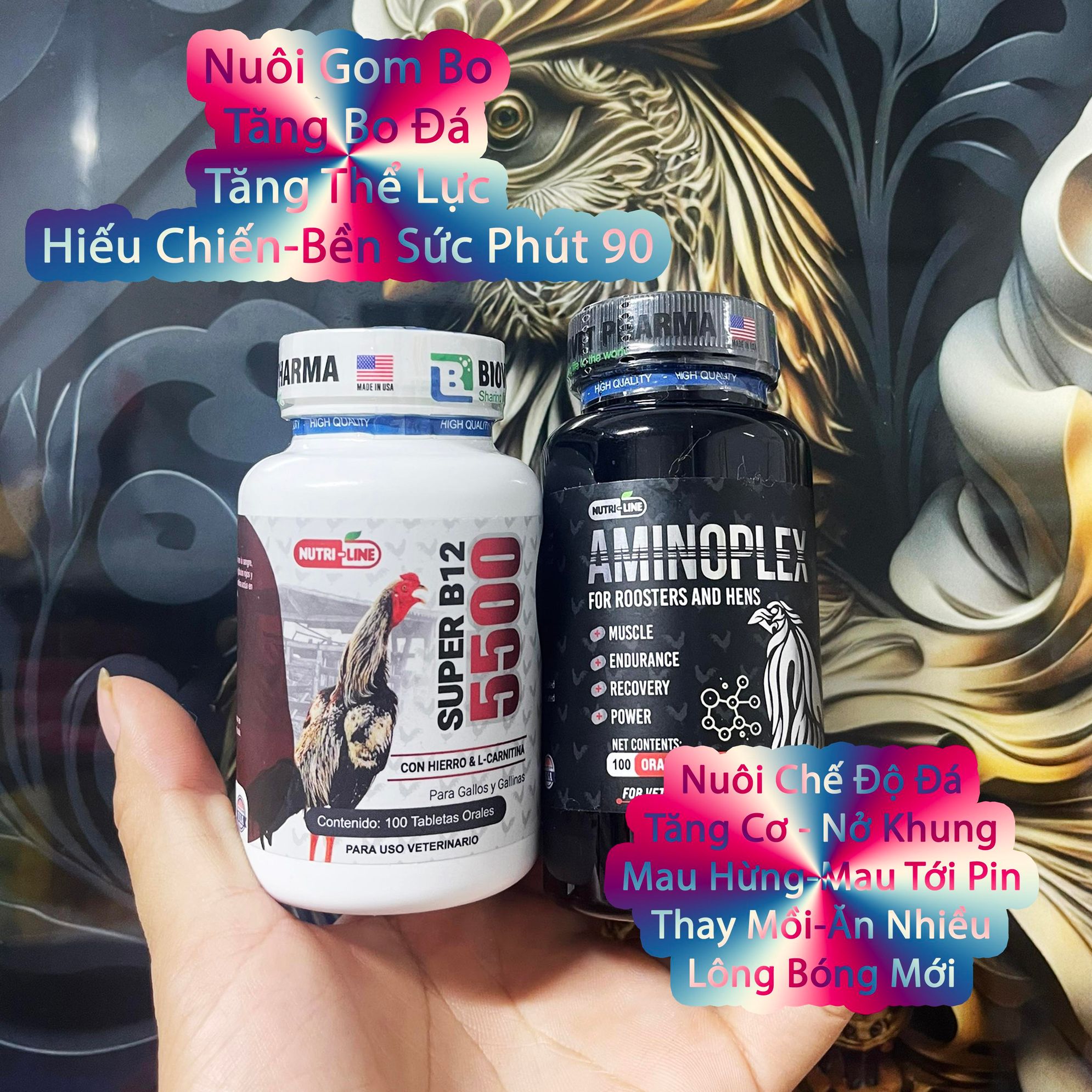 Combo nuôi gà chế độ đá thế hệ mới gom bo đá súc cây láp