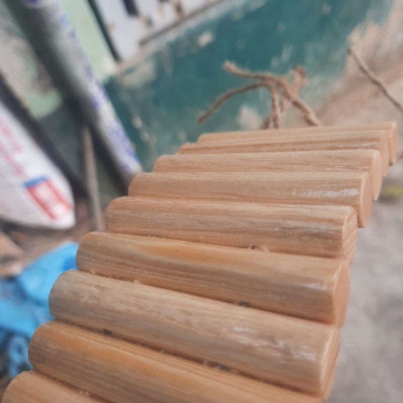 Thang Gỗ Uốn Cong Cho Ốc mượn hồn,Hamster,Bò Sát..Vv - 2