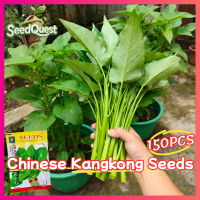 100% Original 150pcs Fresh Chinese Upland Kangkong Seeds for Planting Vegetables Plants High Yield Big Leaf Water Spinach Seeds Garden Balcony Bonsai Vegetable Seeds for Gardening Potted Live Vegetable Plants Seedlings Veggie Seeds Easy To Grow Plants