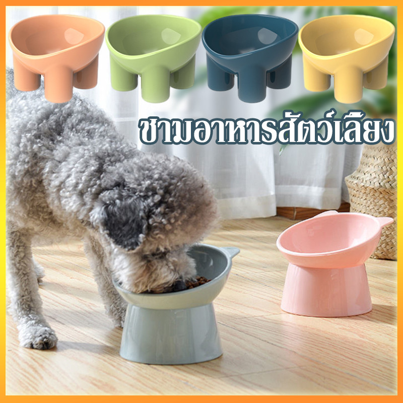 YTL😻ชามสำหรับสัตว์เลี้ยง😻ชามใส่อาหาร พร้อมขาตั้ง 4 สีมาการอง สุนัข แมว สําหรับสัตว์เลี้ยง เอียง 15 องศา ราคา 29 บาท*ส่งฟรี