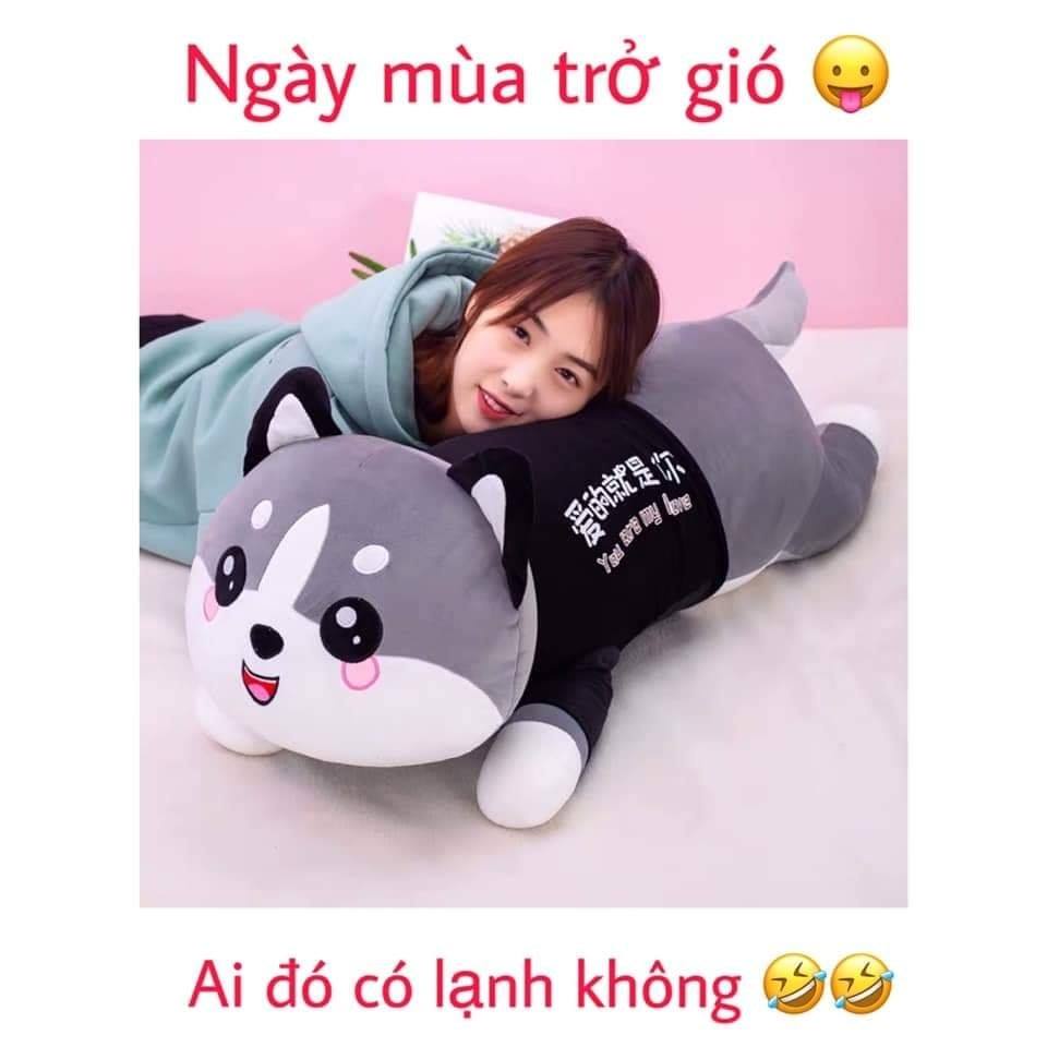 Chó bông mèo bông husky gấu bông chó husky mèo husky gấu bông chó alaska mềm mịn co giãn 4 chiều size 50 - 1m5-t004
