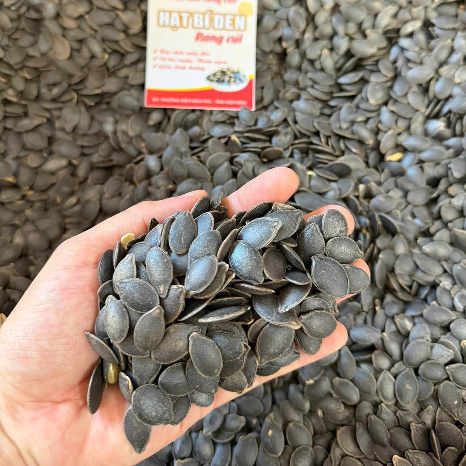 Hạt bí mèo đen Tây Bắc rang củi (500g, 1kg), đặc sản của người đồng bào H'mong Điện Biên thơm ngon, bùi ngậy, dễ tách vỏ