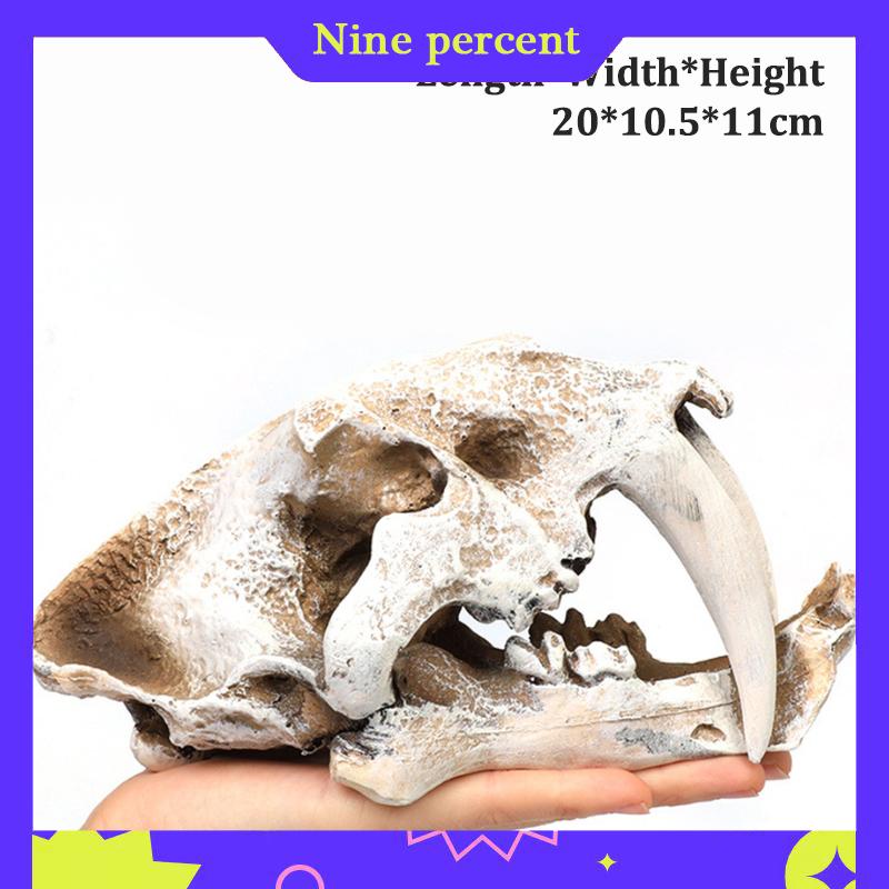 Nine percent Mô phỏng nhựa động vật hộp sọ trang trí tự làm bể cá bể cá phụ kiện trang trí sáng tạo hộp sọ cảnh quan bể cá trang trí - 6