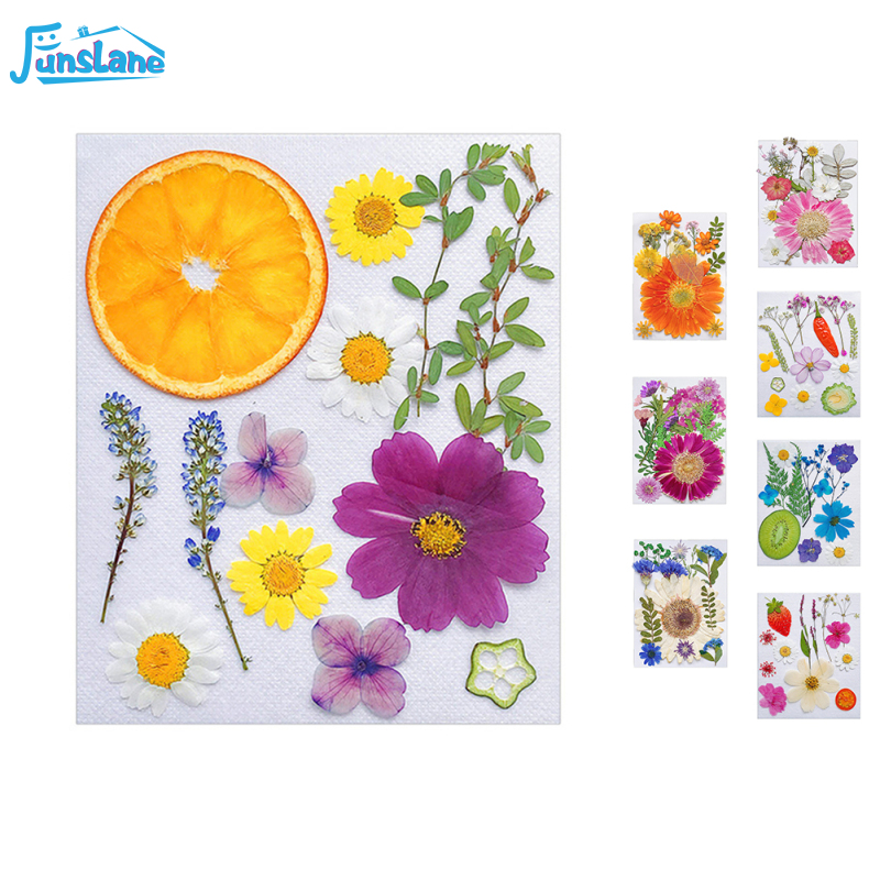FunsLane Dried Flowers Fruits Pressed Flowers For Jewelry Crafts Making