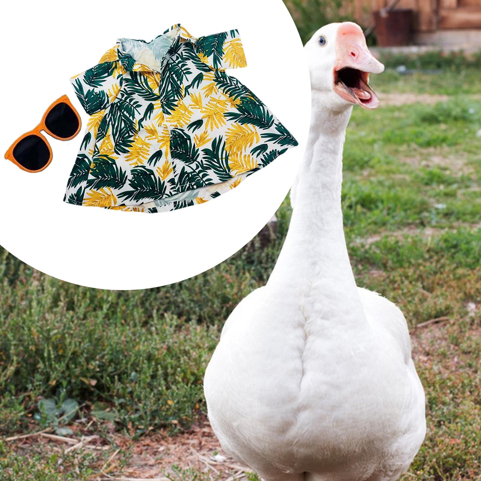 Miracle Shining Lawn Goose Outfit Goose Sculpture Clothing with Sunglasses Costume Outdoor Decoration for Balcony Indoor ราคา 191 บาท*ส่งฟรี