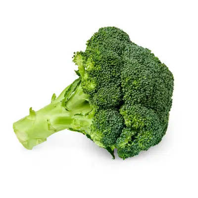 YUVVO Broccoli