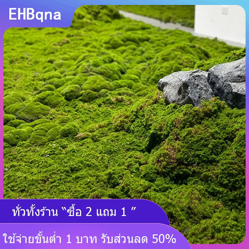 [COD] EHBqna KITCHEN หญ้ามอสเทียมภูมิทัศน์สนามหญ้าไบโอนิกส์ภูมิทัศน์ภูมิทัศน์ภูมิทัศน์ภูมิทัศน์ภูมิทัศน์สนามหญ้าบอนไซประดับปูภูมิทัศน์กลางแจ้งในร่ม - ยี่ห้อ EHBqna ราคา 181 บาท*ส่งฟรี