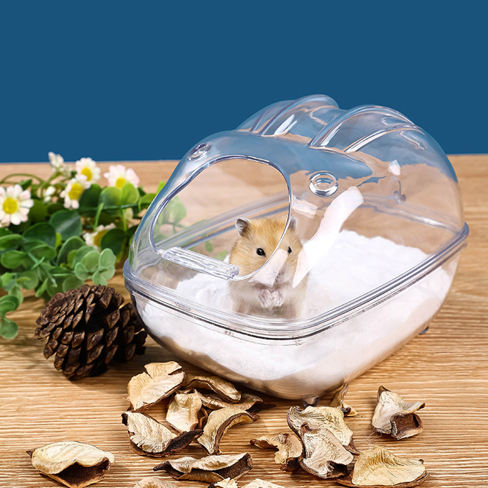 Haosu phòng tắm cho chuột Hamster nhìn toàn cảnh lồng cho chuột hamster trong suốt hamster nhà vệ sinh lồng chống giật gân cát hộp ngâm cho hamster chuột và lợn guinea cao cấp phụ kiện cho vật nuôi nhỏ