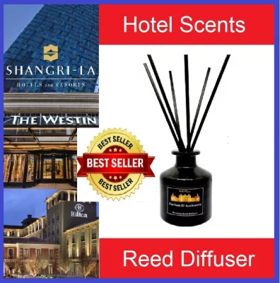 Aromatherapy Belle Maison Reed Diffuser Boutique Home Fragrance Home Perfume Spa Essential Oil Spa