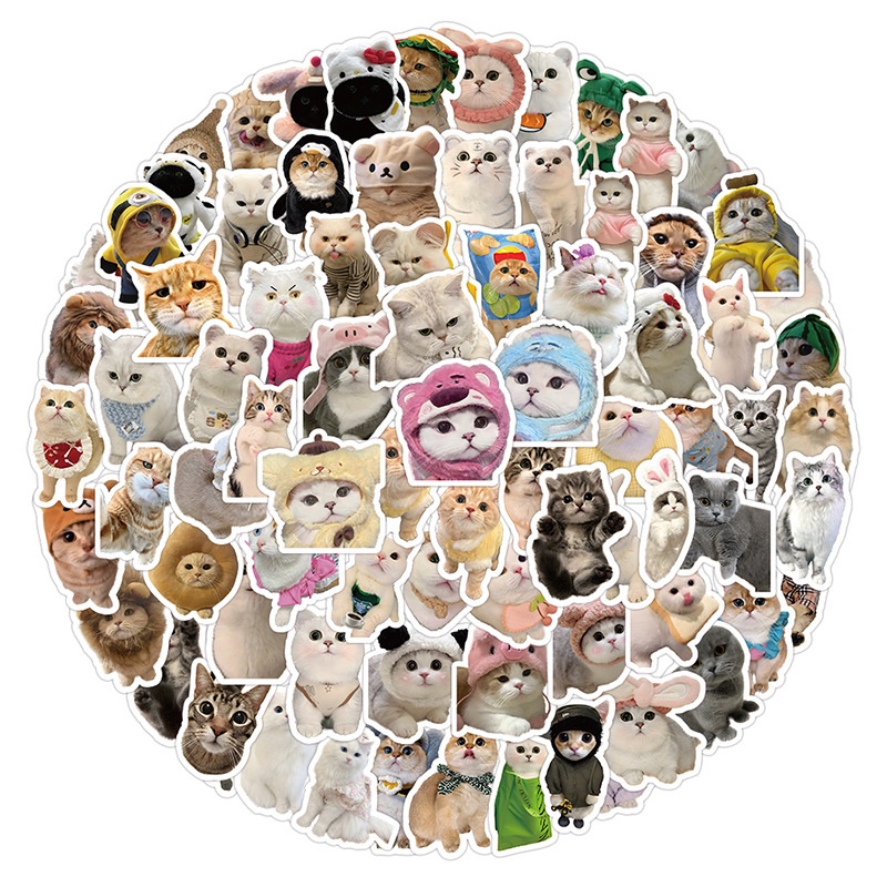 100PCS Cute Cartoon Realistic Cute Pet Kitten Waterproof Stickers For Helmet Bicycle Hand Account Pencil Case Decals LanLanStickersWorld