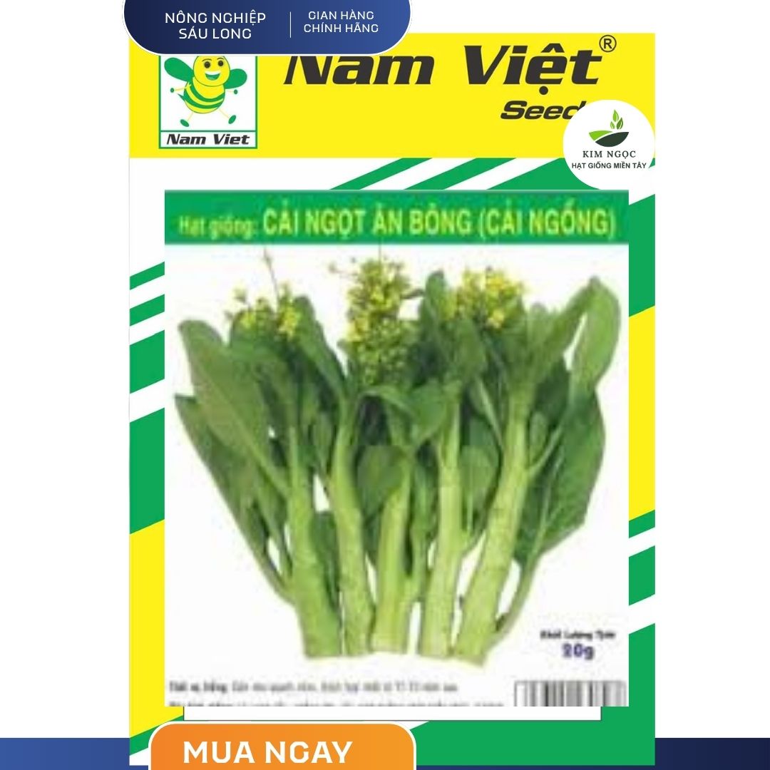 Hạt Giống Cải Ngọt Ăn Bông (cải ngồng) NAM VIỆT ( GÓI 50G) - Sinh trưởng mạnh, ngồng lớn, giòn, ngọt