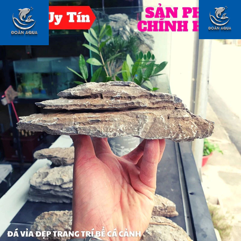 Đá vỉa thuỷ sinh setup bể thuỷ sinh, biotope, tiểu cảnh bán cạn, trang trí bể cá cảnh
