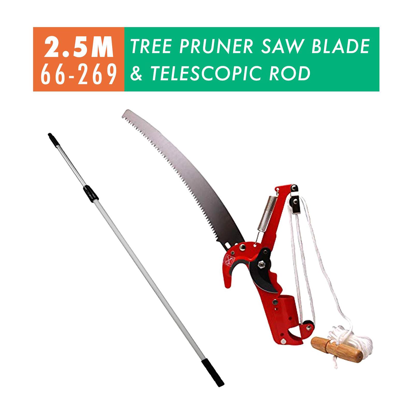 Telescopic Pole Pruner - Best Price in 