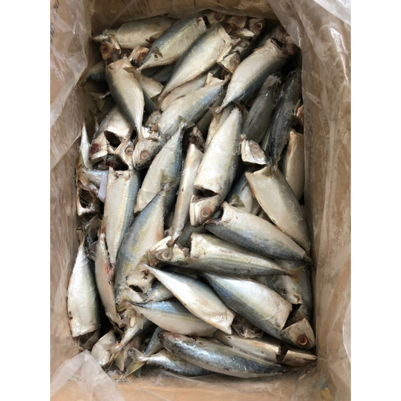 Cá bạc má đông lạnh - khay 500gr