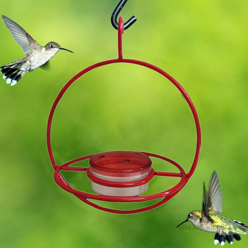 Hummingbird Hummingbird Feeder ANT & BEE POODSERSERSERSERSTER SUMMINGBIRD FEEDERS cho sân sau ngoài trời sân sau 5LA-zlz-VN - 3