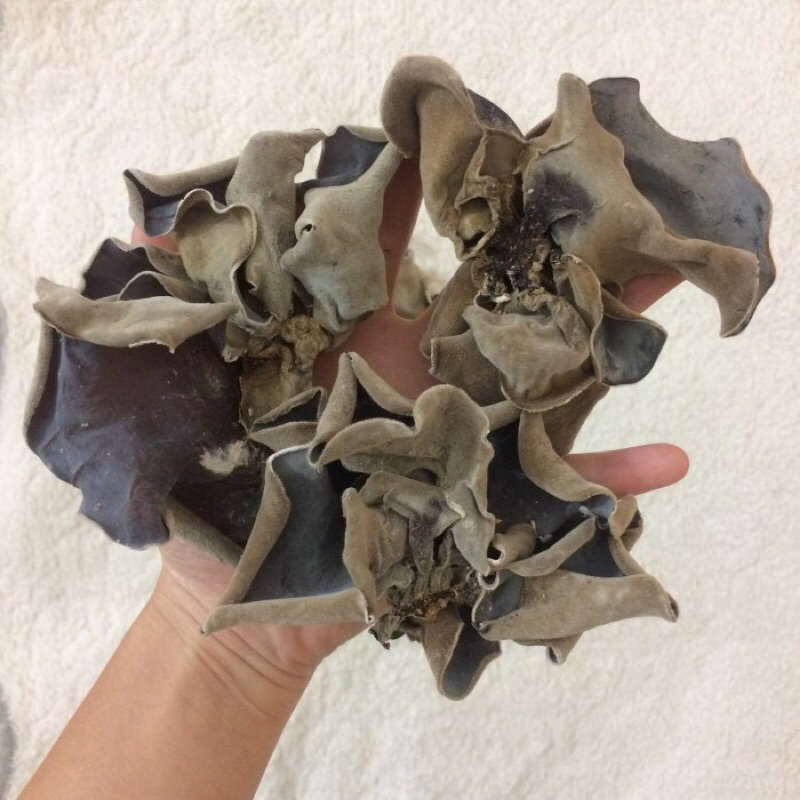 Mộc nhĩ khô - nấm mèo khô 500 gram