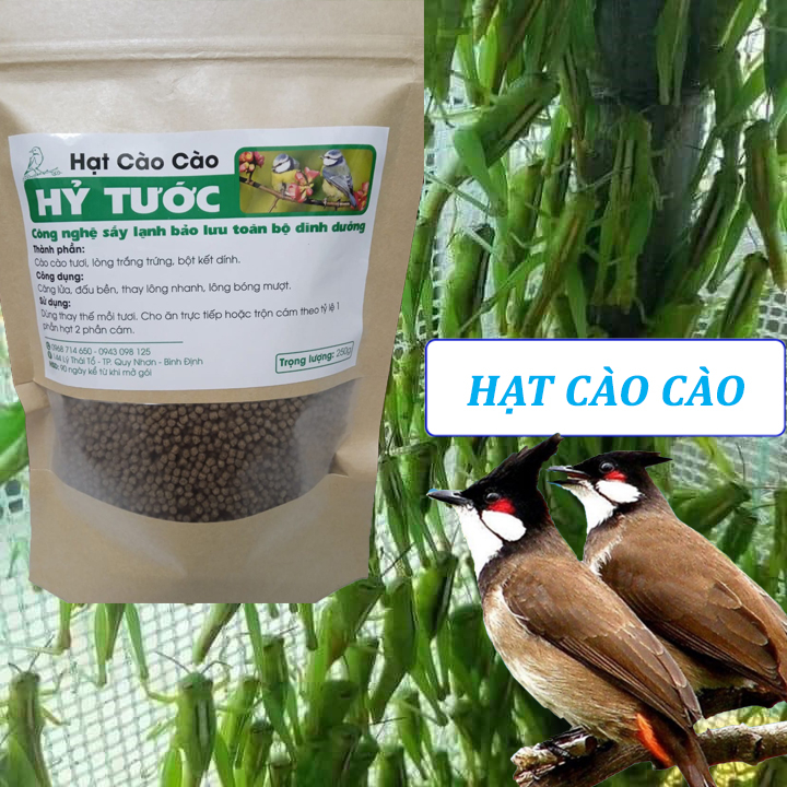 Cào cào sấy_Thức ăn dinh dưỡng thay mồi tươi cho chim cảnh
