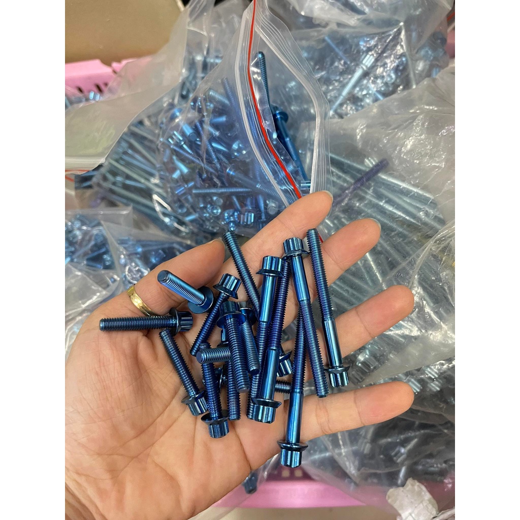 ( 10 pcs ) (P3 Titan) Crankcase Engine Bolt - Ốc lốc Mẫu Salaya Trụ Cao P3 Titanium 6li10 6li20 6li25 6li30 6li35 6li40 6li50