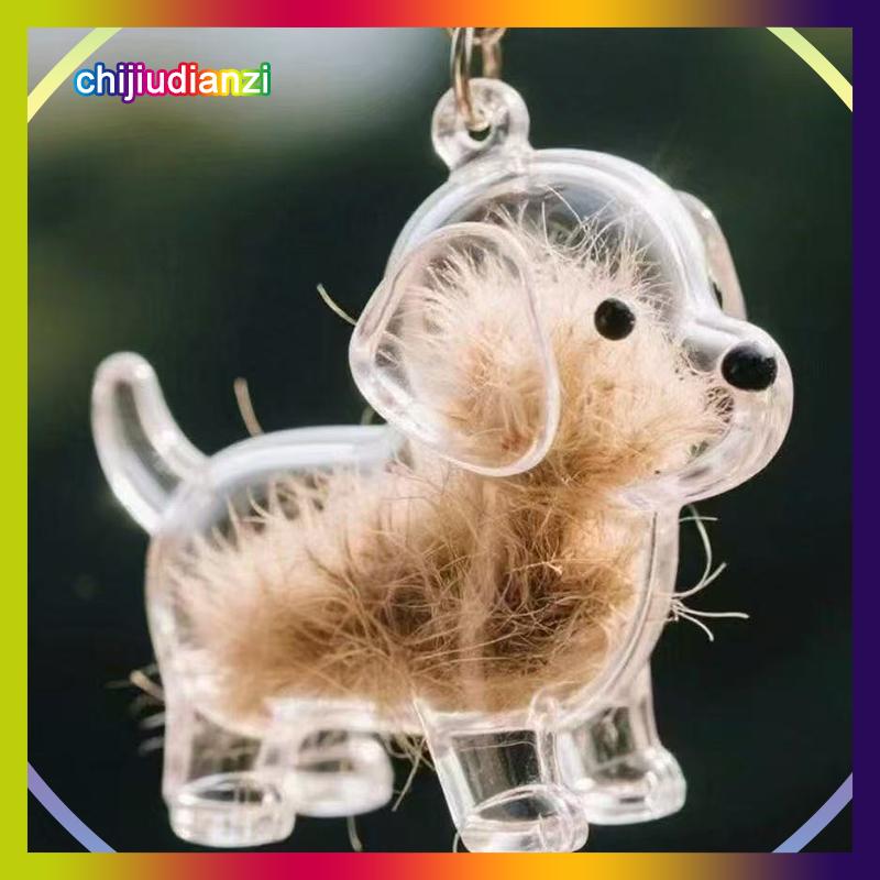 chijiudianzi Rõ ràng Puppy tóc tưởng niệm lưu niệm viên nang pet của chó lông container tự làm mặt dây chuyền Keychain trang trí vật nuôi những người yêu thích nhà hiển thị Quà Tặng - 2