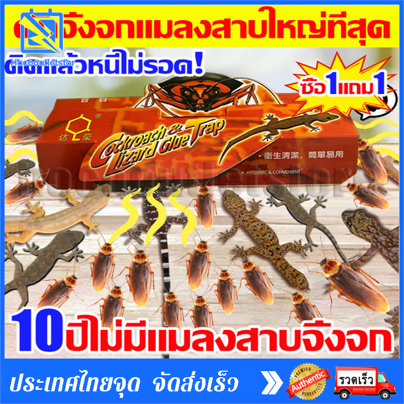 gecko trapใหญ่ที่สุด กาวดักจิ้งจก กาวดักแมลงสาบ บ้านจิ้งจก กําจัดจิ้งจก ที่ดักแมลงสาบ ปลอดภัยและปลอดสารพิษ ราคา 110 บาท*ส่งฟรี