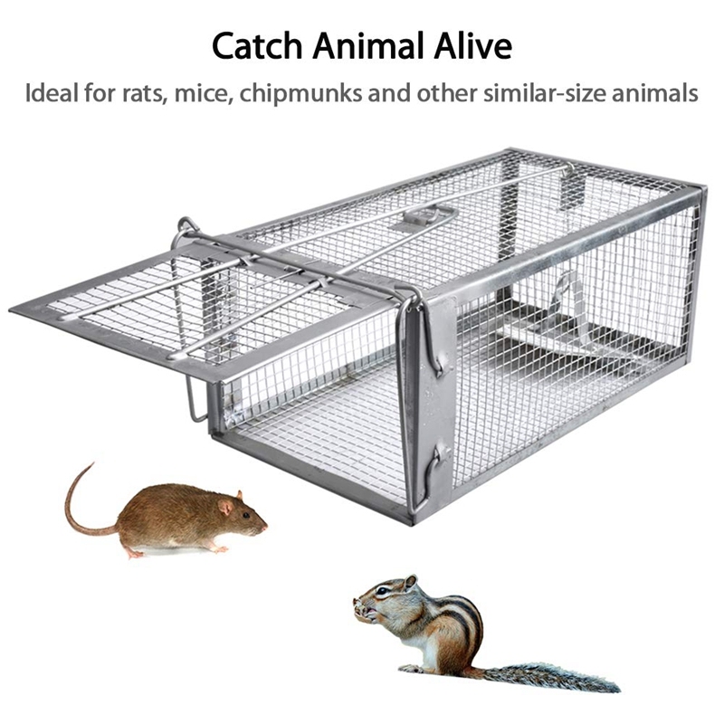 rat cage singapore