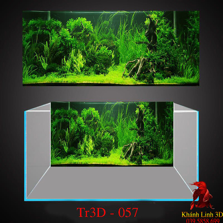 Tranh 3D dán bể cá mẫu Tranh Thuỷ Sinh Phong cảnh nền đen trang trí hồ cá