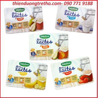Sữa Chua Bledina Pháp đủ vị (55gx6 hộp) 6M+