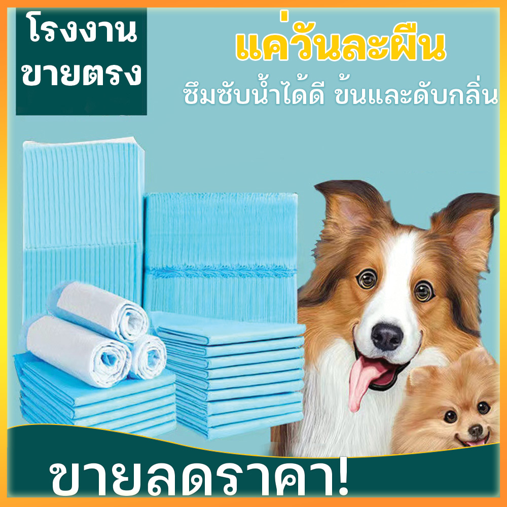 แผ่นรองฉี่ แผ่นรองฉี่สุนัข แผ่นรองฉี่แมว Puppu Pads เนื้อเนียน ซึมซับไว ไม่รั่วซึม แผ่นรองซับ สัตว์เลี้ยง ซับได้มาก ราคา 41 บาท*ส่งฟรี