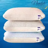 ❄️HÀNG NHẬP❄️ Gối Băng Lạnh Cao Cấp, Nằm Êm Ái, Thoáng Mát Tự Nhiên, Gối Nặng 1kg/cái Chuẩn lᴏại 1