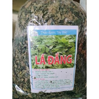 Lá đắng khô rừng Lai Châu (lá cơm kìa ) - Lá khô, xanh, thơm, sạch ko lẫn lá tạp - Tr! Dạ dày, khuẩn Hp