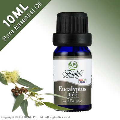 Biolife Eucalyptus Dives, 100% Pure Aromatherapy Natural Organic Essential Oil, 10ml Bottle, suitable use for Diffuser, Humidifier, Massage, Skin Care