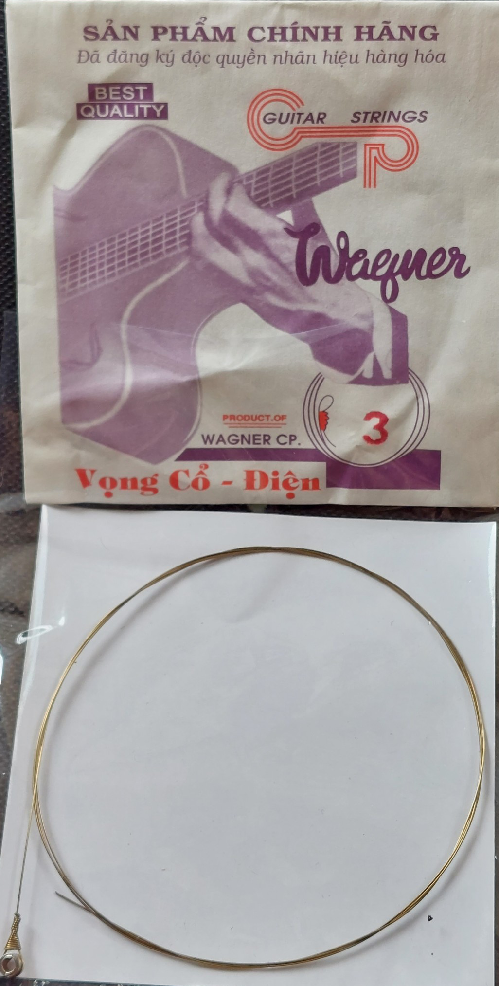 Hãng Dây Đàn Việt Nam