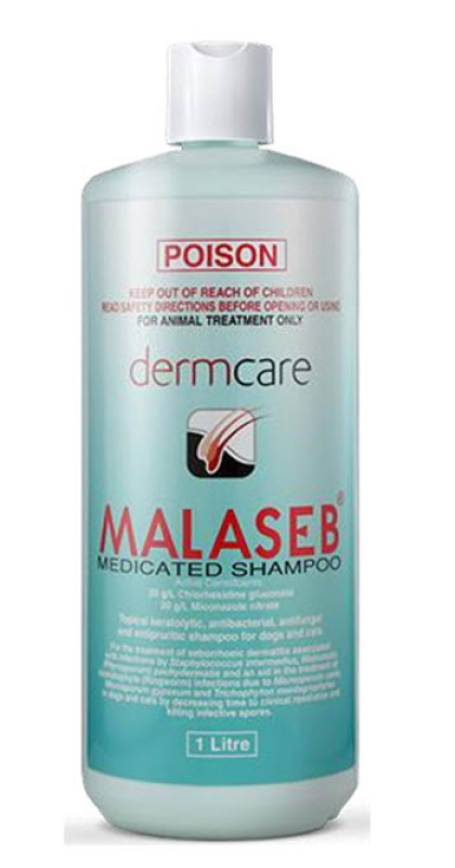 Buy Malaseb Medicated Shampoo - 500ml Singapore