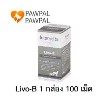 ภาพขนาดย่อของสินค้าDr. Choice Livo-B Exp.2/2024 Intervetta บำรุงตับ สุนัข หมา แมว Liver Sment dog cat (1 กล่อง 100 เม็ด)