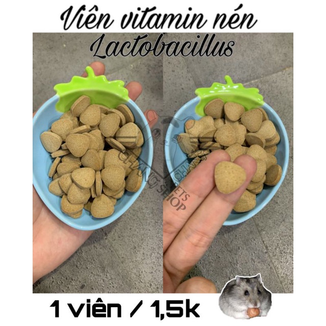 1 viên vitamin nén Lactobacillus