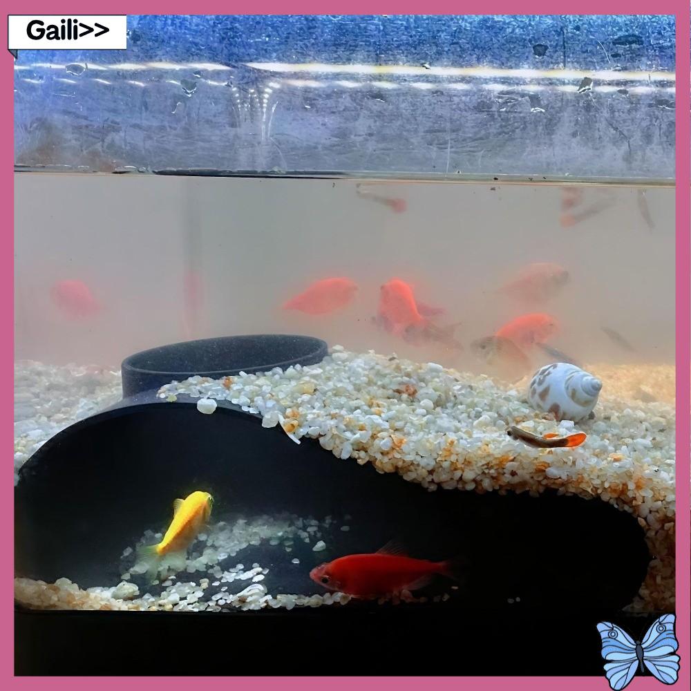 GAILI Đa chức năng Hang động đường hầm dưới lòng đất cho bể cá Trang trí bể cá Dưới đường hầm sỏi Nơi ẩn náu hoàn hảo cho cá tôm Quà tặng Đường cong Trang trí bể cá một lỗ