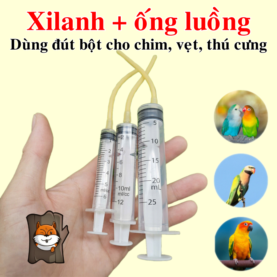 Xi lanh kèm ống luồn (10cm) đút bột cho chim non