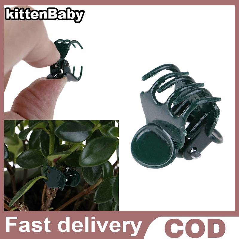 kittenBaby คลิปหนีบก้านดอกกล้วยไม้สำหรับรองรับเถาชิ้น ถุง100 ราคา 49 บาท*ส่งฟรี