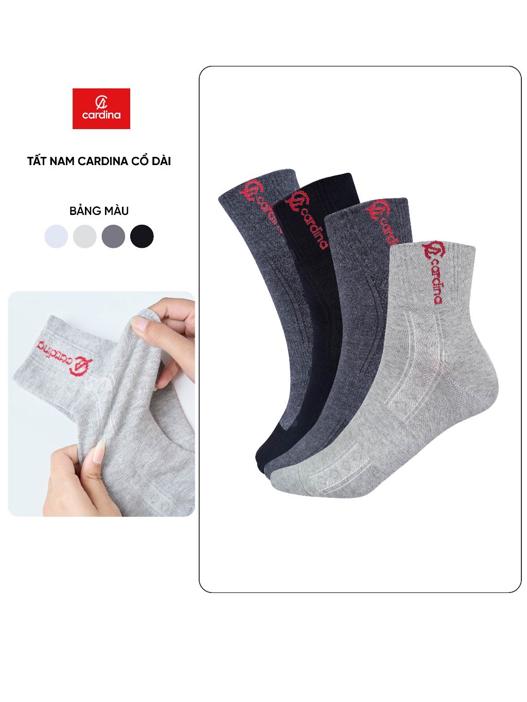 Tất nam CARDINA cao cấp cổ cao khử mùi chất liệu sợi tre thiên nhiên giao màu ngẫu nhiên TMD