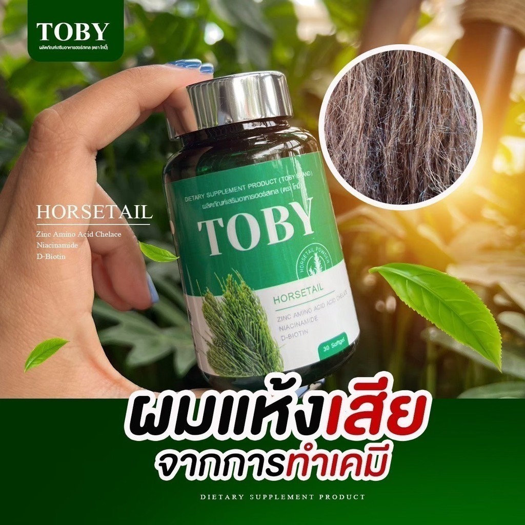 ส่งฟรี ของแท้ [ร้านเจ้าของแบรนด์]ของแท้ TOBY โทบี้ หญ้าหางม้า ลดผมร่วง เร่งผมยาว Toby Horsetail ราคา 290 บาท*ส่งฟรี