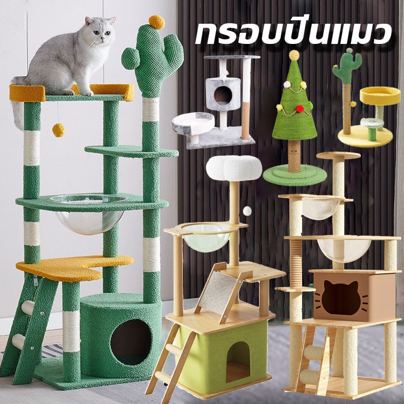 【BHQ TOYS】COD กรอบปีนแมว ที่ลับเล็บแมว เตียงแมว ของเล่นแมว เสาลับเล็บแมวได้ ต้นไม้แมว บ้านแมว ราคา 381 บาท*ส่งฟรี