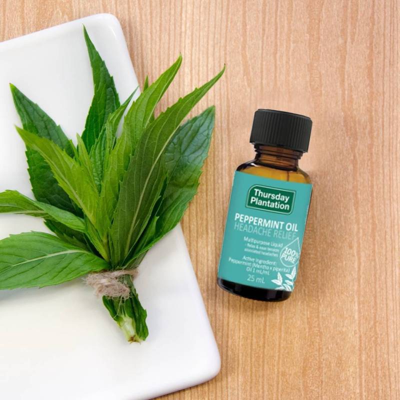 Buy Thursday Plantation Peppermint Oil 25ml (Exp 2024) Singapore