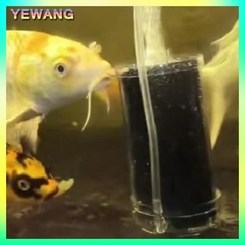 YEWANG Bộ lọc bể cá bể nuôi tôm máy bơm không khí nhỏ sinh hóa miếng bọt biển bông lọc sinh học Phụ kiện lọc hồ cá