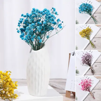 Mini Baby Breath Natural Fresh Dried Preserved Flowers Small Natural Dried Flowers Bouquet Dry Flowers Press Mini Decorative Photography Photo Backdrop Decor DIY Craft Decorative