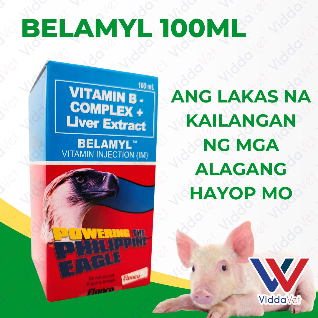 Belamyl 100ML – Best Support for Animal Skin and Fur for Animals Presyo  1,647 Piso*Libreng Shipping