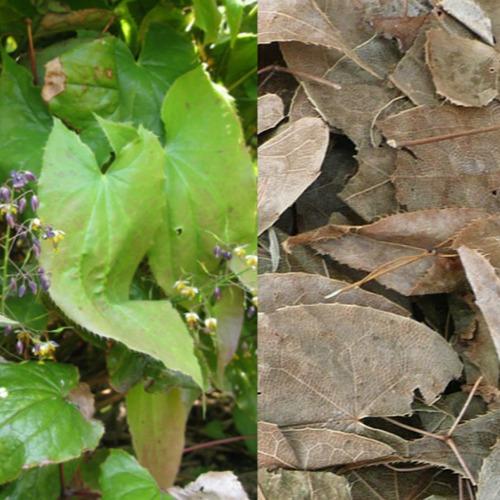 Lá dâm dương hoắc - Dùng cho phái mạnh - Gói 200g