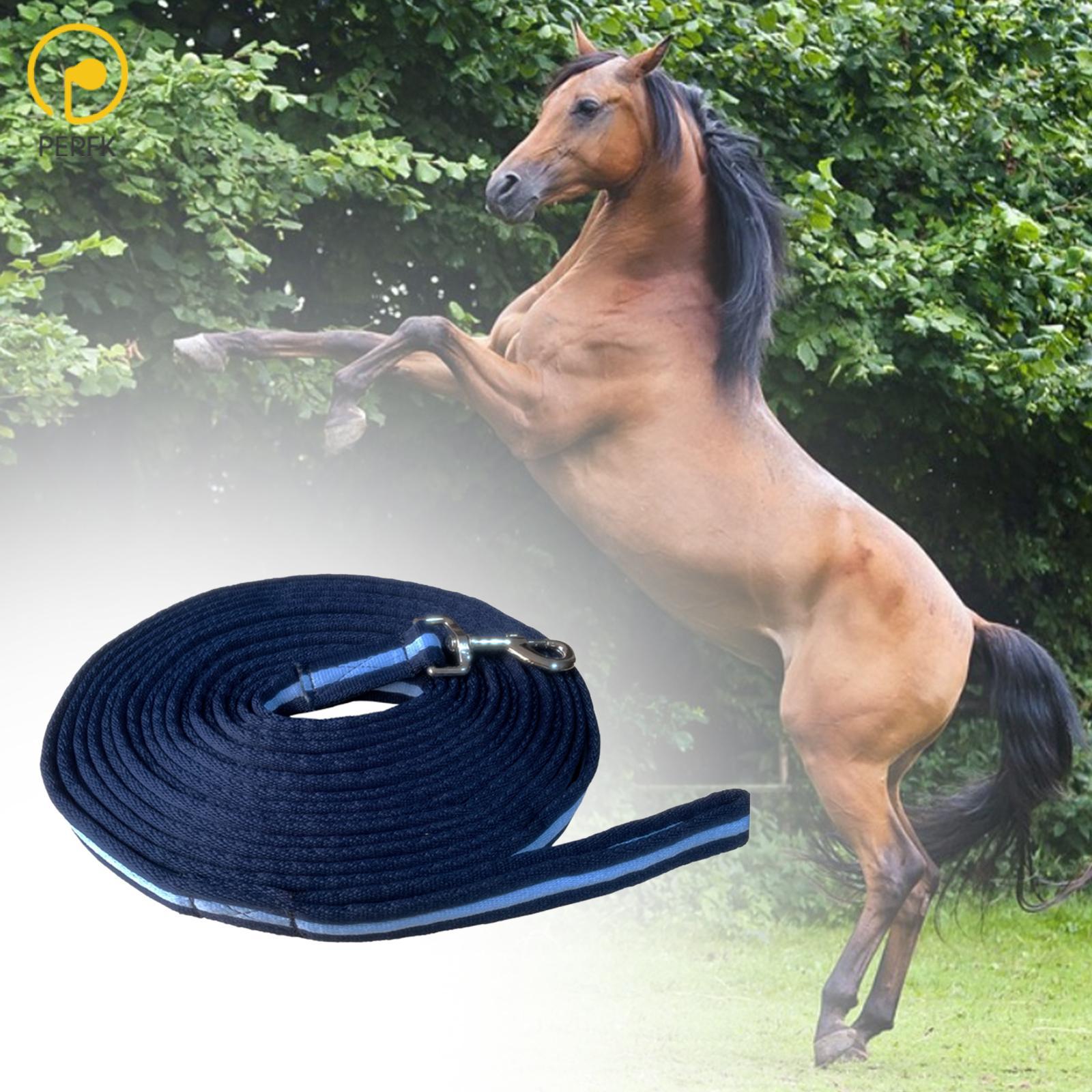 Horse Rope Dog Training Leash Lunge Leads Horse Training Rope Tracking Leash for Puppy Small Medium Large Dogs ราคา 12,196 บาท*ส่งฟรี
