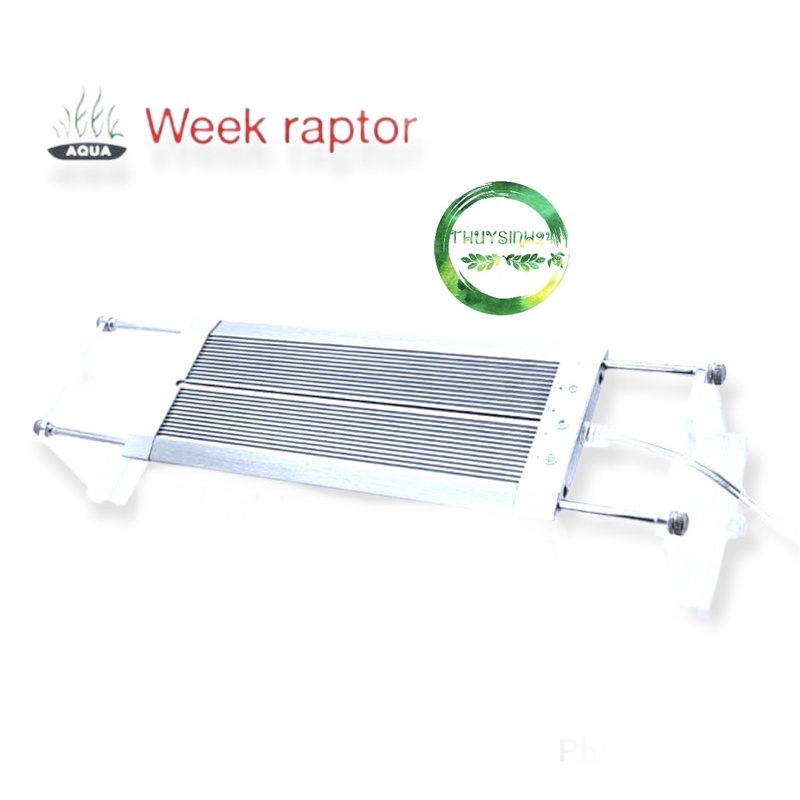 Đèn week raptor wrgb v200 | v300 | v400 | v450 | v600 | v800 | v900 | v1200 - đèn thuỷ sinh đánh lên màu đỏ