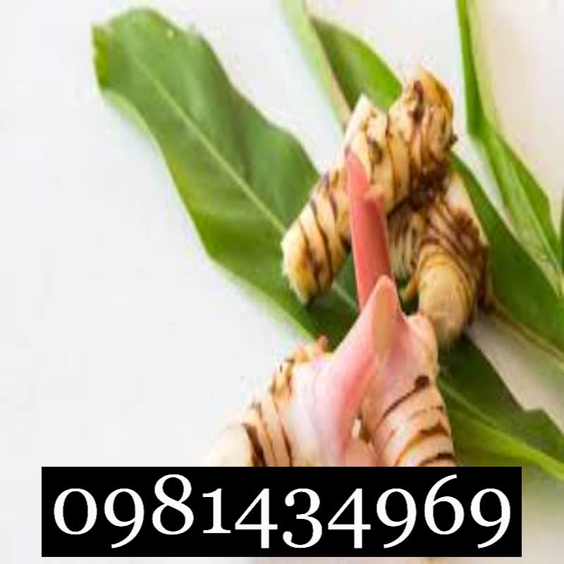 Củ Riềng Khô Thái Lát 01KG Nhà Làm Thơm Cay Tự Nhiên Chuẩn Mới